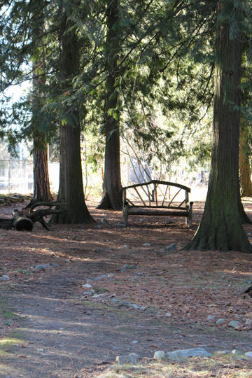 lakeview_arboretum_bench