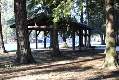 shelter